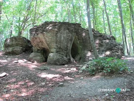 Likas-kő borítóképe